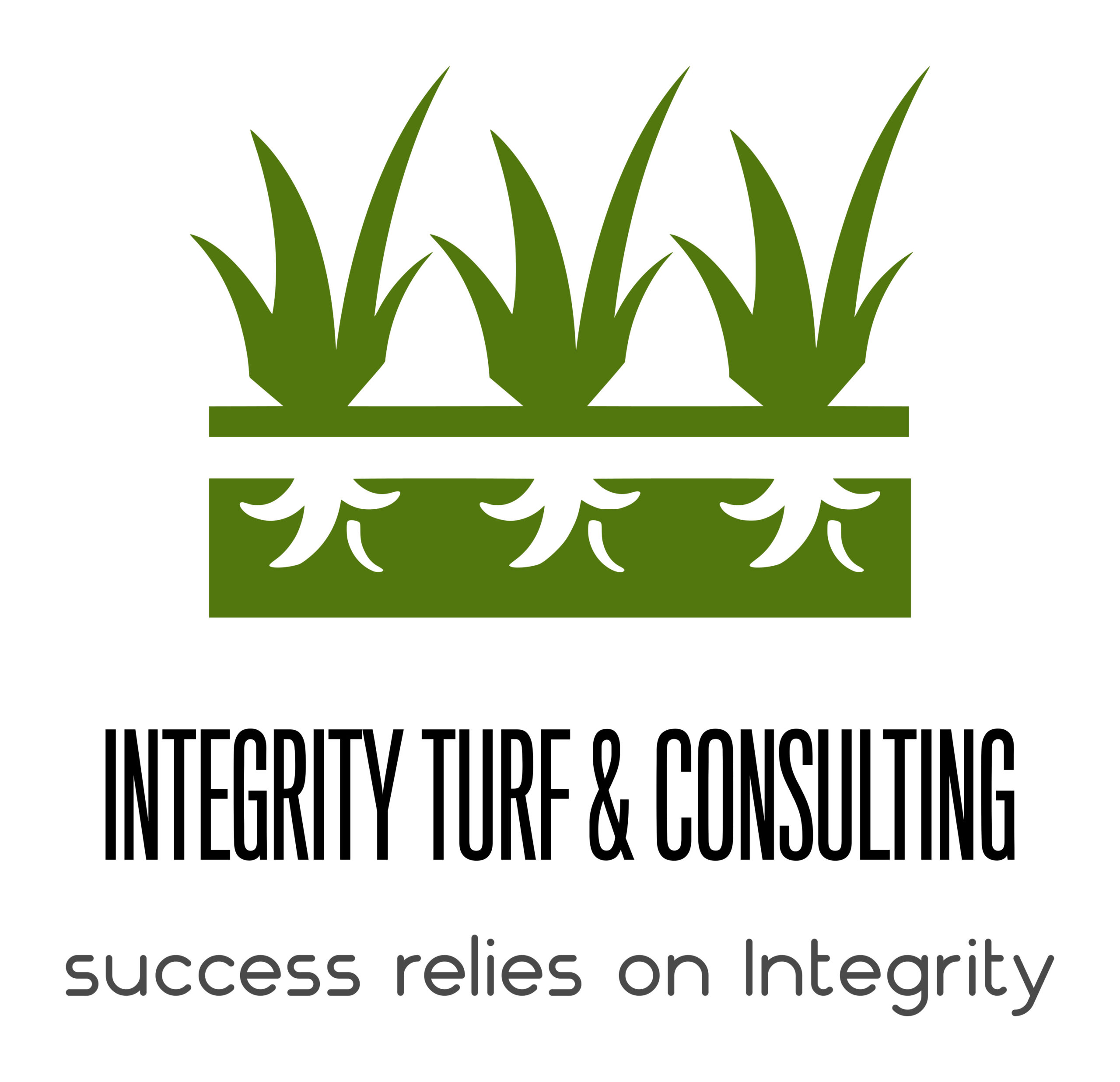 logo_white_background